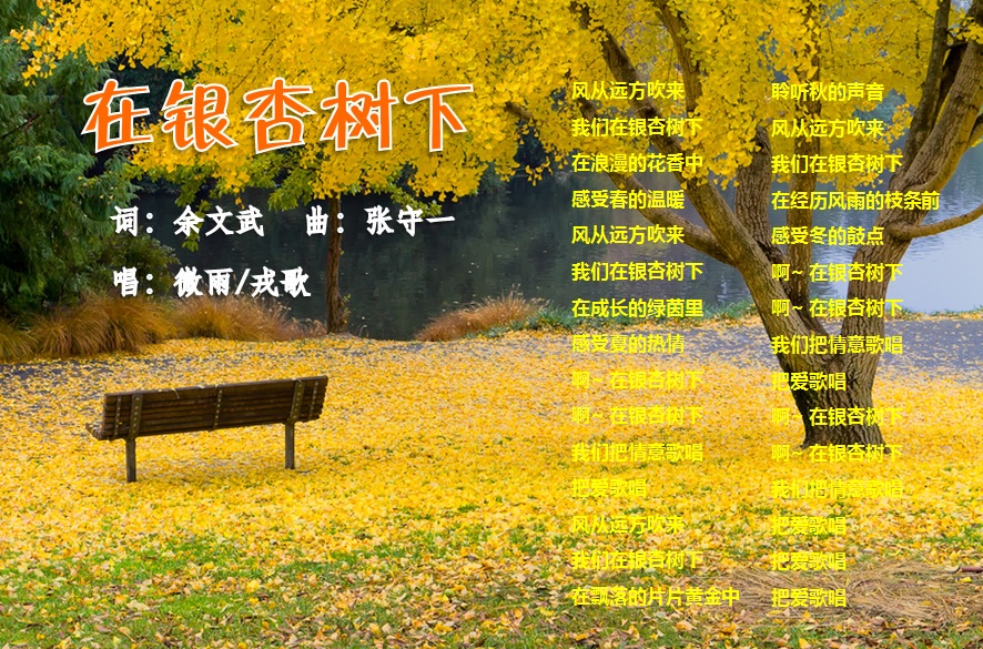 在银杏树下.jpg