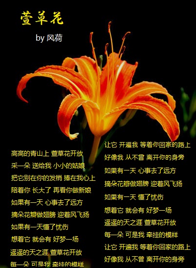 萱草花.jpg