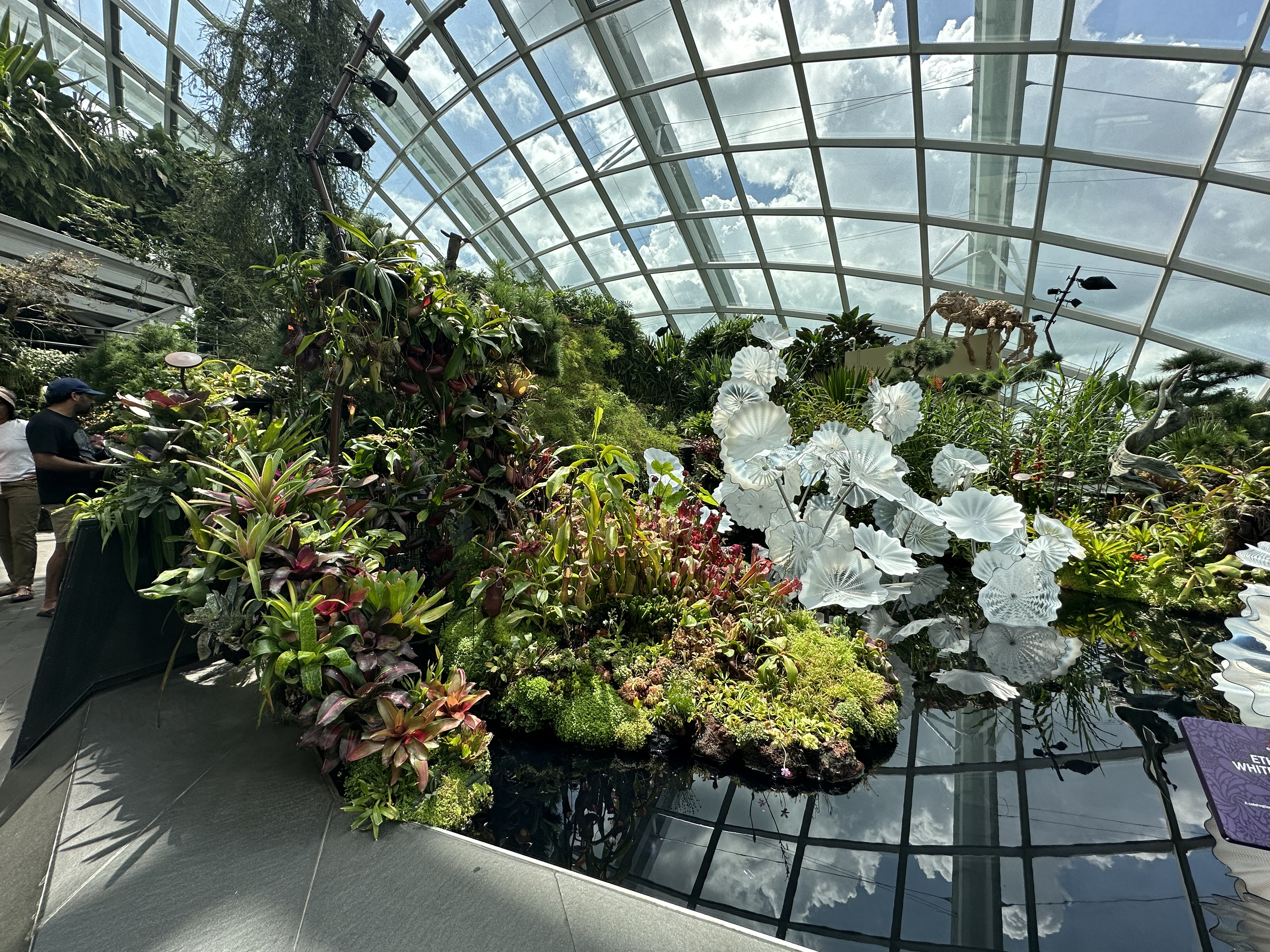 93E0412C-6F1D-483C-A26E-4A35906F0F1C.jpeg