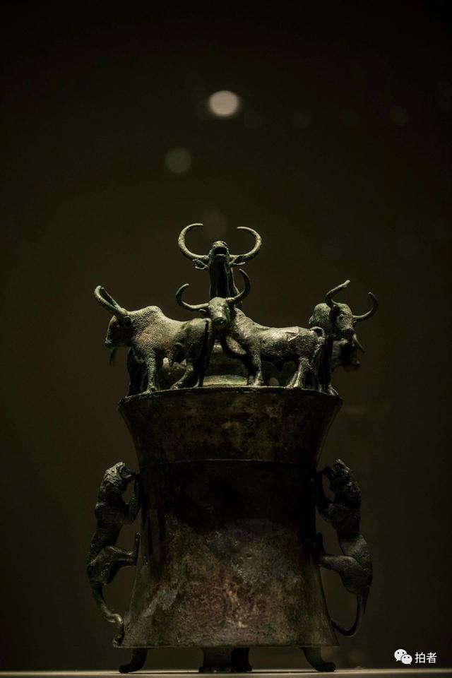 牛年，摄影师镜头里的“牛图”-20.jpg