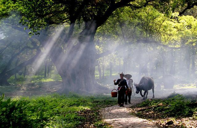 中国这些个地方最出摄影大师，因为每一处风景都不平凡-4.jpg