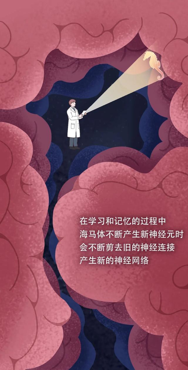大脑为什么要删除你 2 岁前的记忆？原因竟然是……-8.jpg