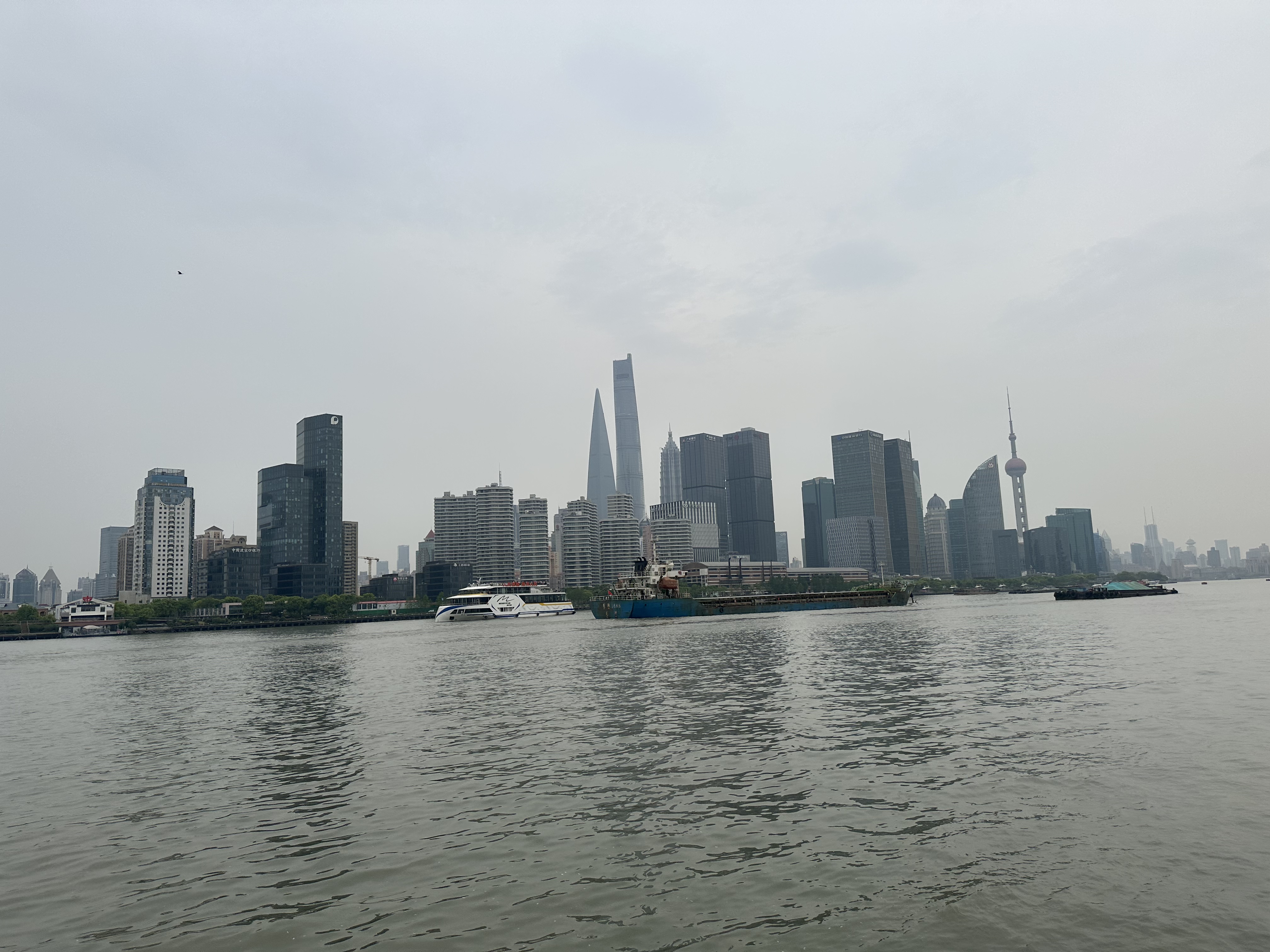 0EB42C93-AC81-4349-A7AC-508311D8DAFF.jpeg