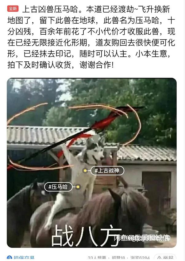闲鱼成为“中国暗网”？笑死在网友评论区！-26.jpg