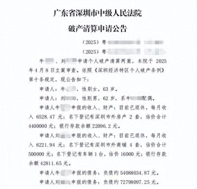 月入1.2万负债1.2亿，深圳一对退休夫妻申请破产，法院：立案审查-1.jpg