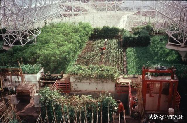 1991年，美国曾做实验：将4男4女关一起生活，结果如何?-3.jpg