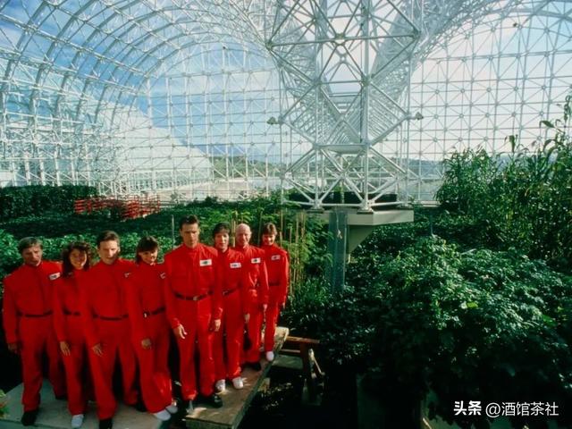 1991年，美国曾做实验：将4男4女关一起生活，结果如何?-7.jpg