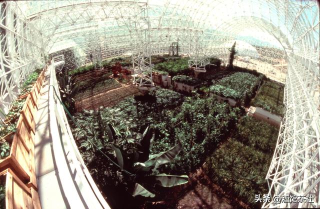 1991年，美国曾做实验：将4男4女关一起生活，结果如何?-8.jpg