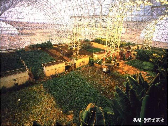 1991年，美国曾做实验：将4男4女关一起生活，结果如何?-17.jpg