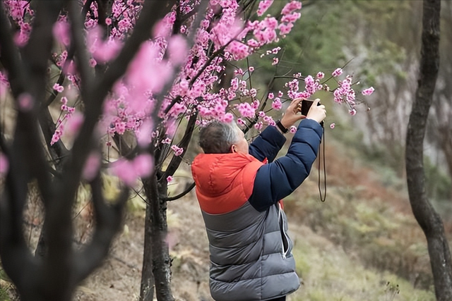 我退休旅游5年，走遍全国后才发现：旅行对老年人来说，真没意思-2.jpg