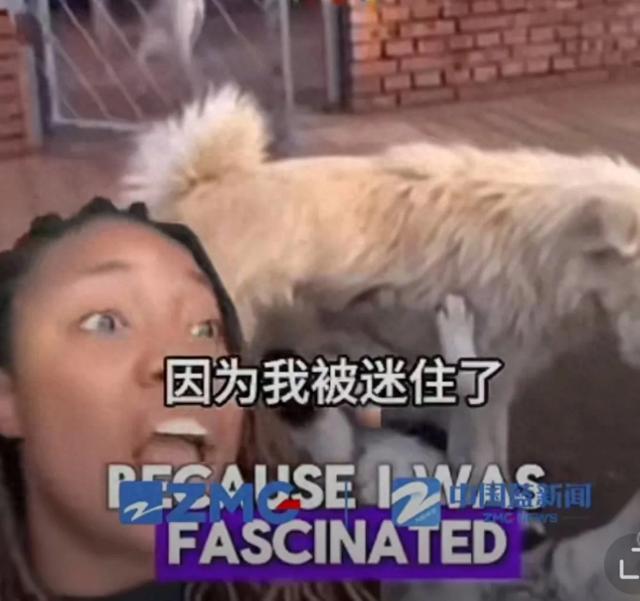“中国狗王”火遍全球，身价飙升至10万美元，狗主人现身-1.jpg