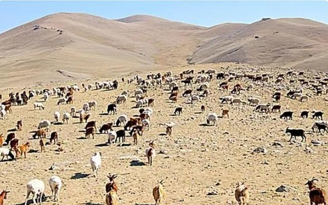 蒙古国堕落成“性旅游业”大国？建国已经百年，为何越混越惨？-7.jpg