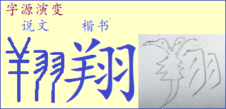 xiang-fei.png