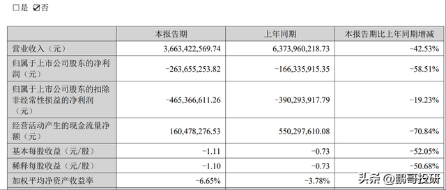 天雷滚滚，35个龙头亏损超1亿，机器人龙头收入腰斩，别踩雷-3.jpg