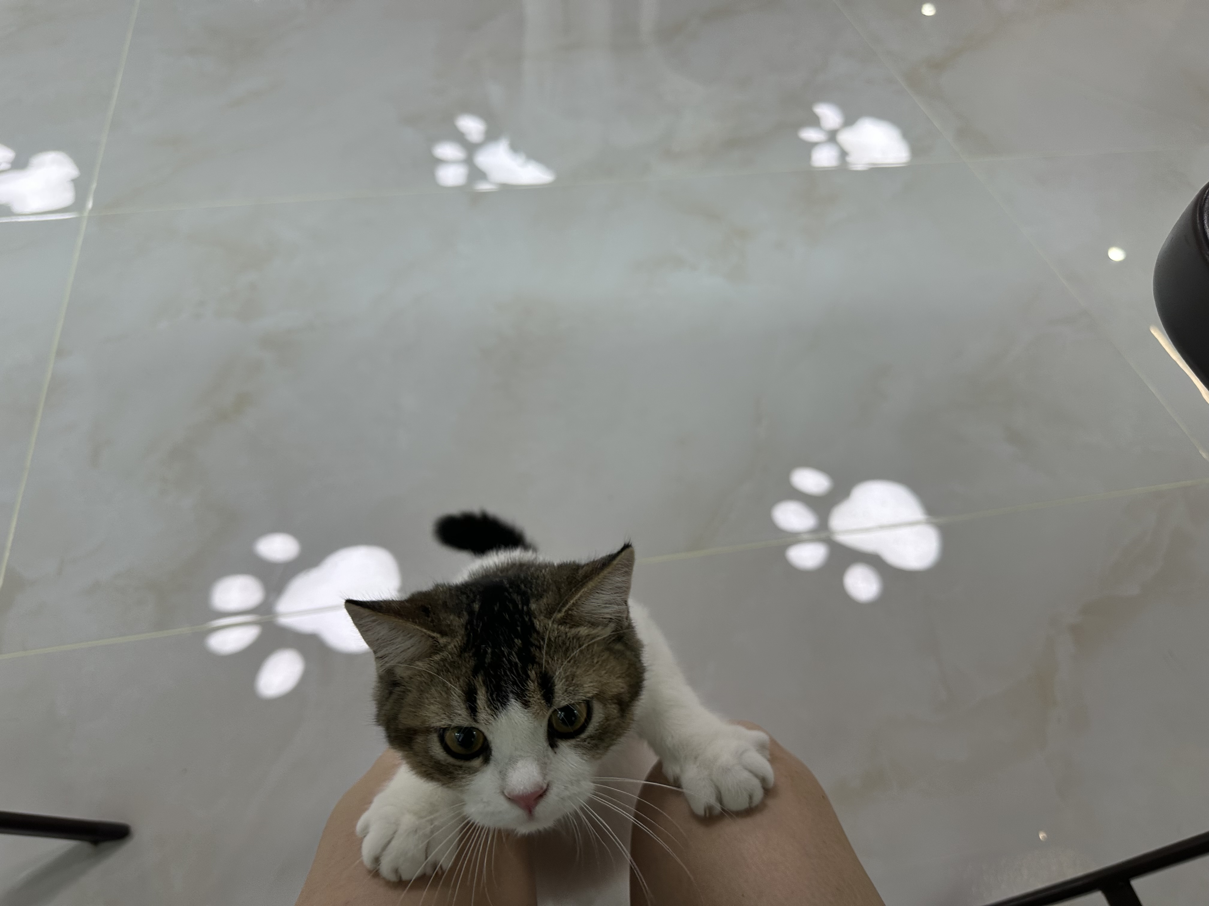 IMG_0345.jpeg