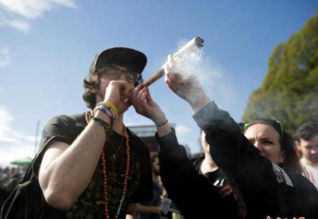 大麻合法、性交易开放，手握全球芯片命脉，这个国家颠覆你的认知-8.jpg