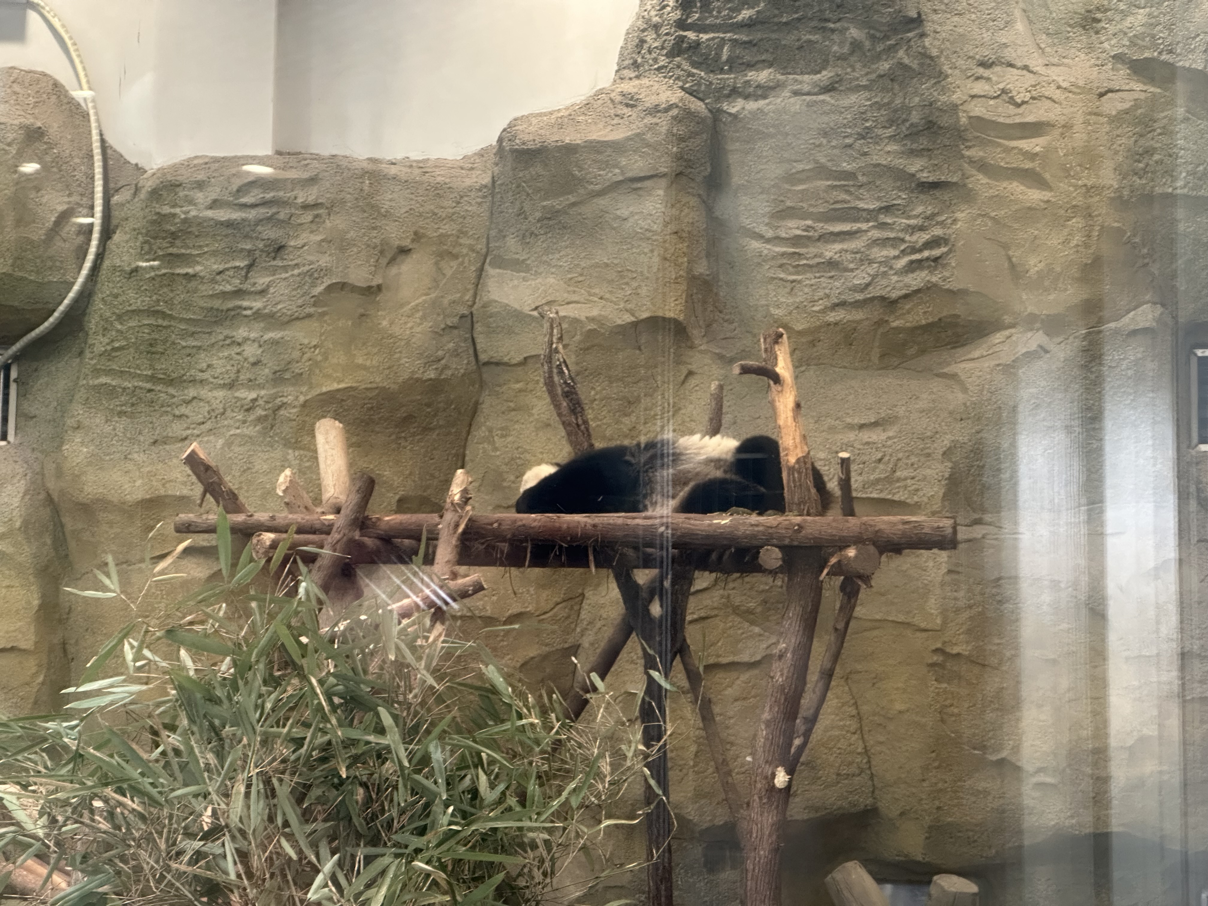 IMG_2015.jpeg