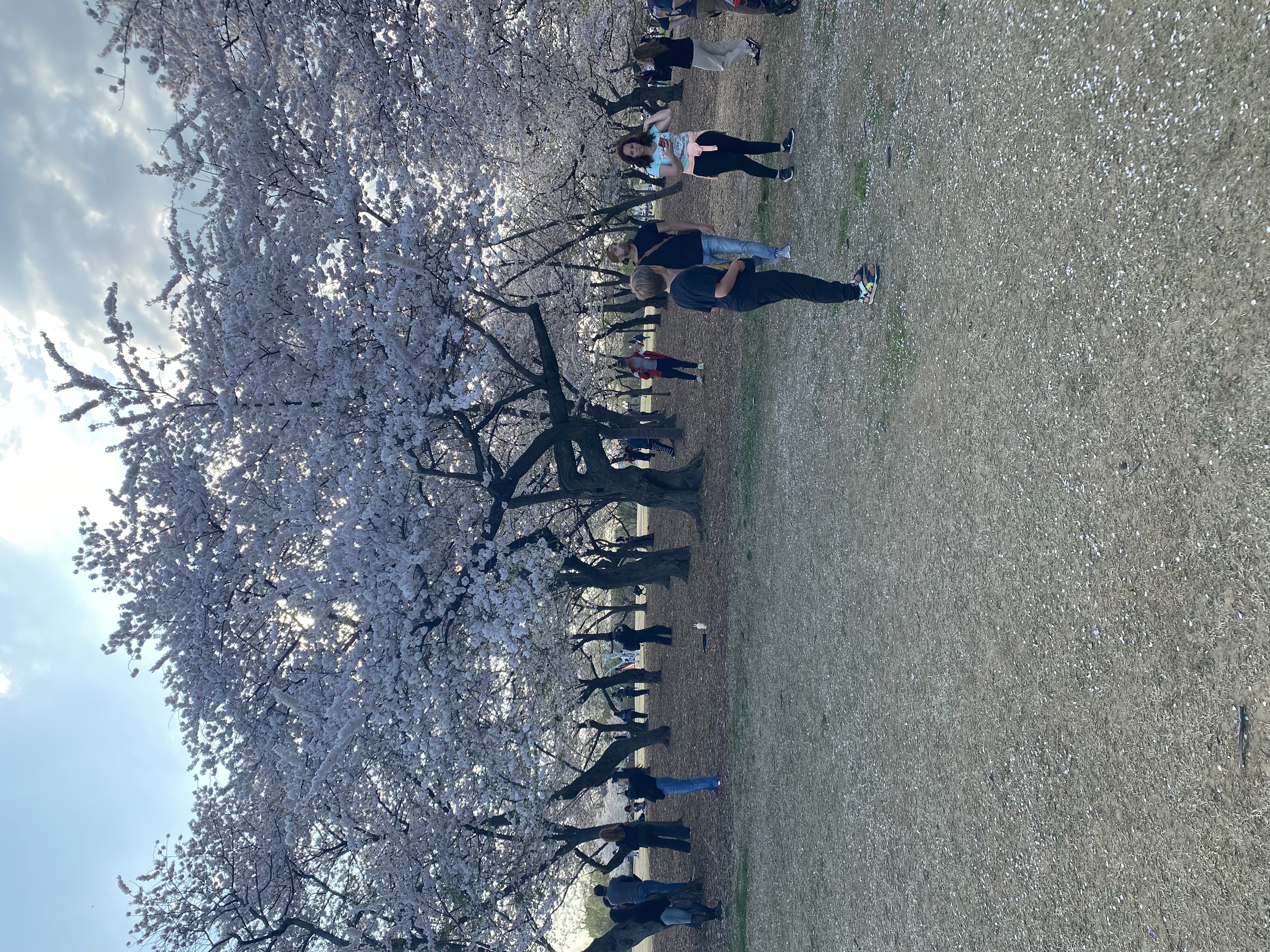 IMG_9730.jpeg