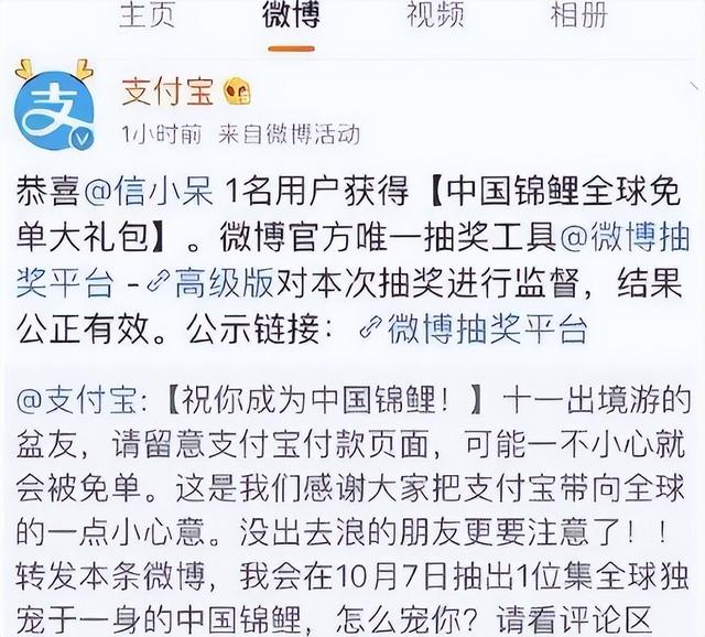 被马云砸中的锦鲤女孩：支付宝中奖1个亿，挥霍1年后如今怎样了-5.jpg